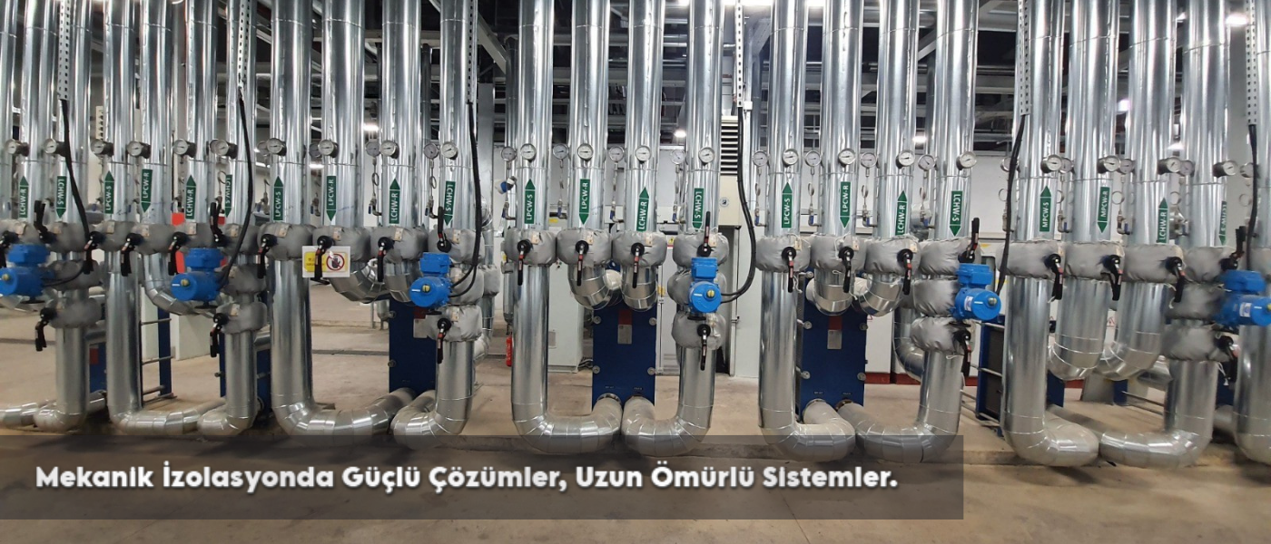 TY (1)